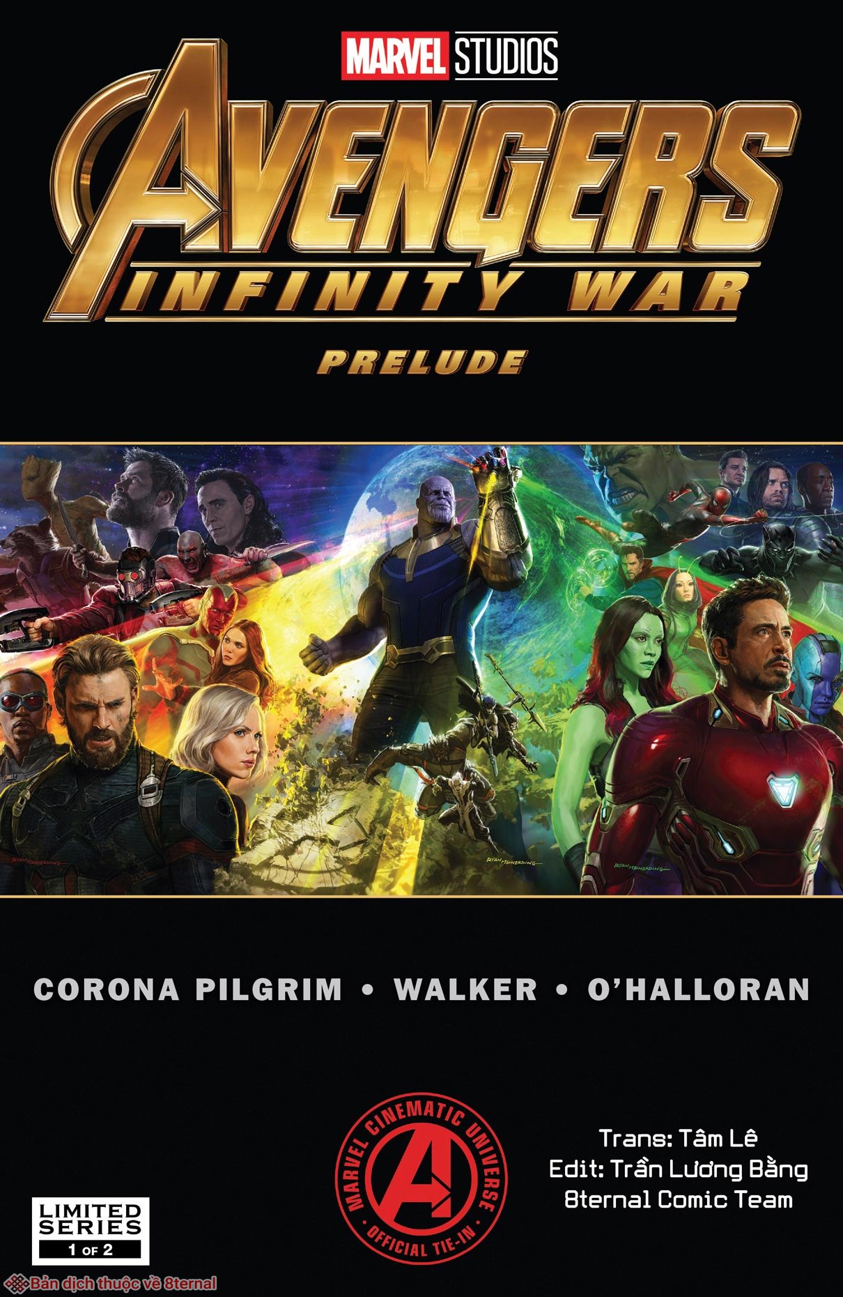Avengers Infinity War Prelude