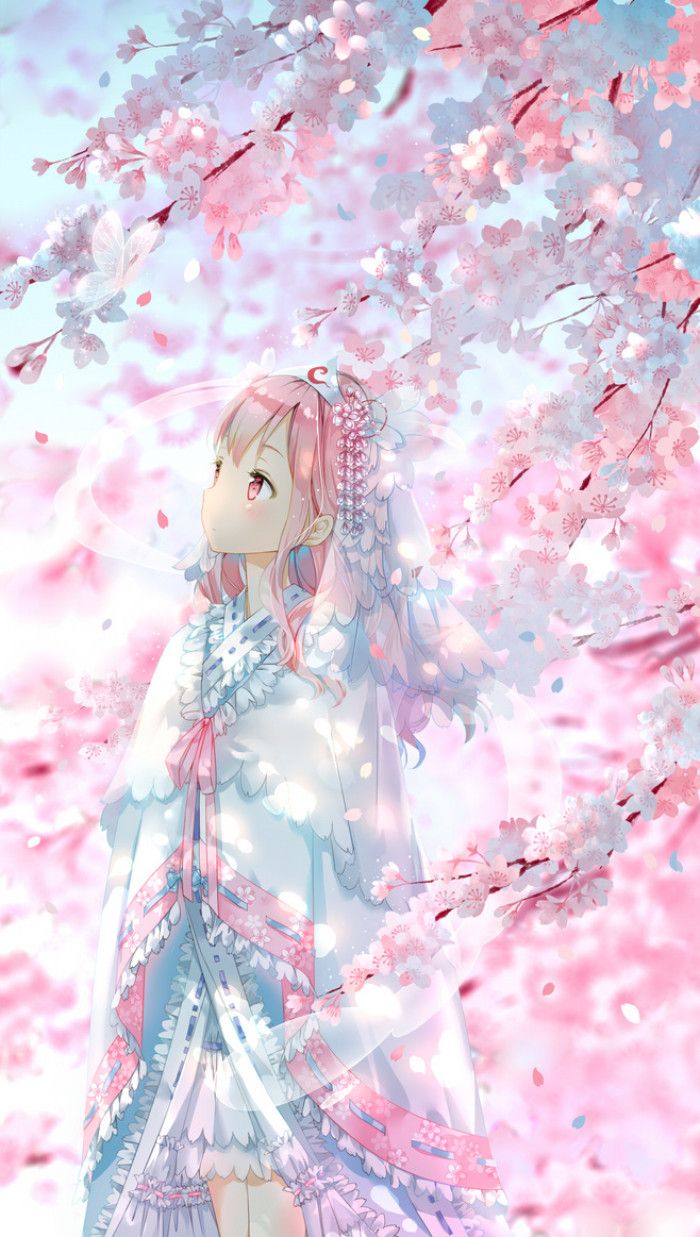 Blossoms In Spring