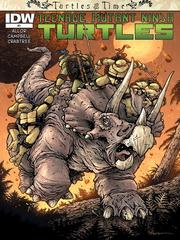 Teenage Mutant Ninja Heroes: Turtles In Time