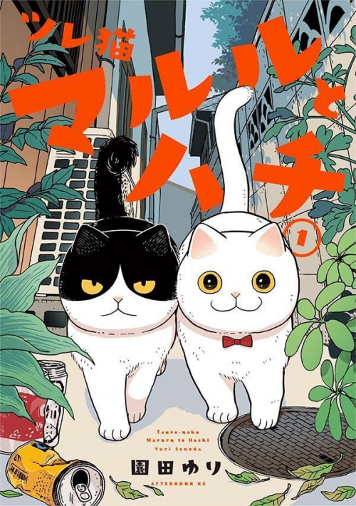 Đôi mèo song hành - Maruru và Hachi